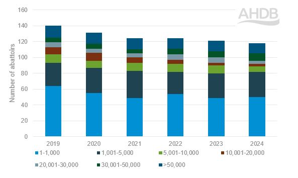 Trends in the number of English sheep abattoirs by size 2019–2024 